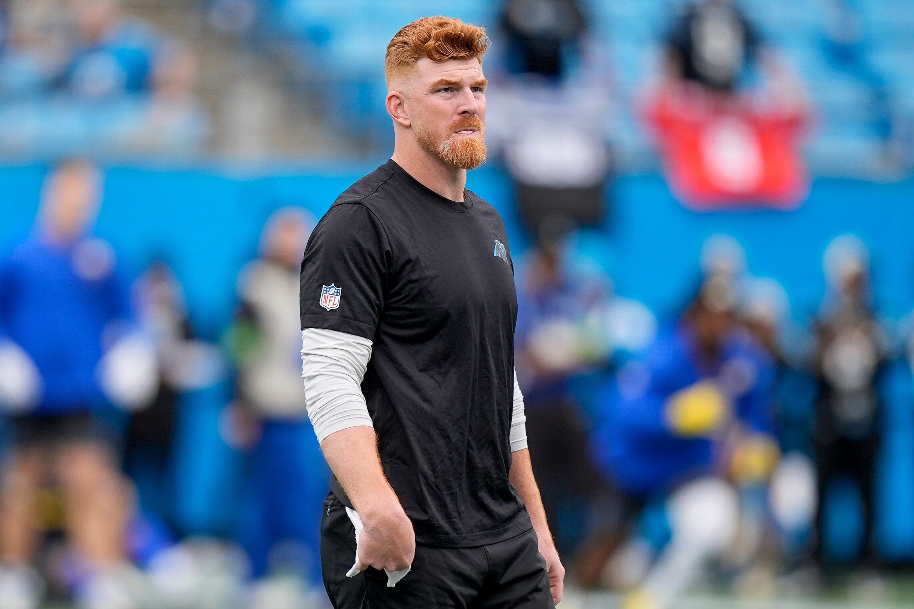 Andy Dalton, former Bengals QB, traded by Panthers to Eagles | Report