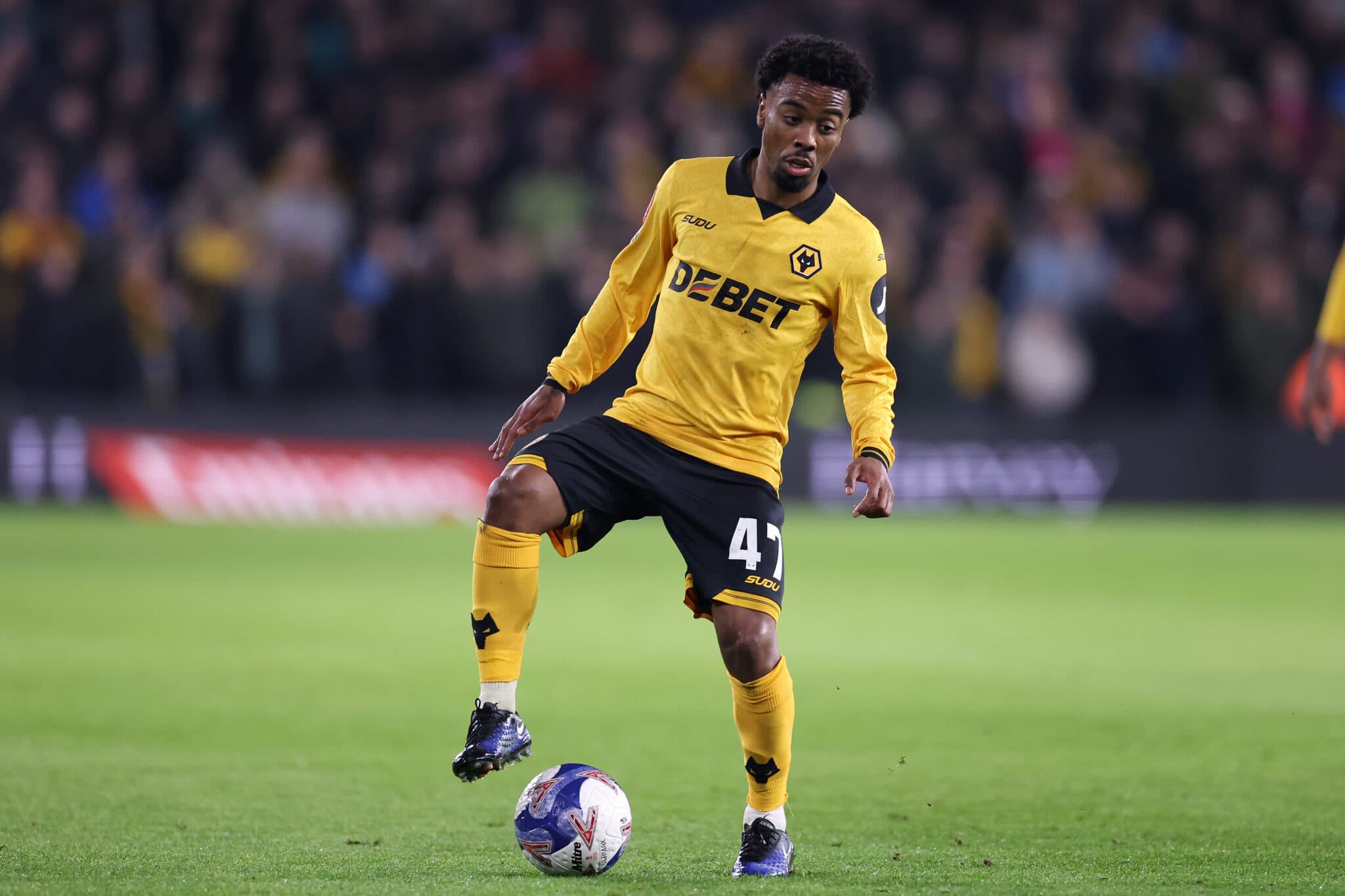 Wolves XI vs West Ham – Predicted lineup and team news
