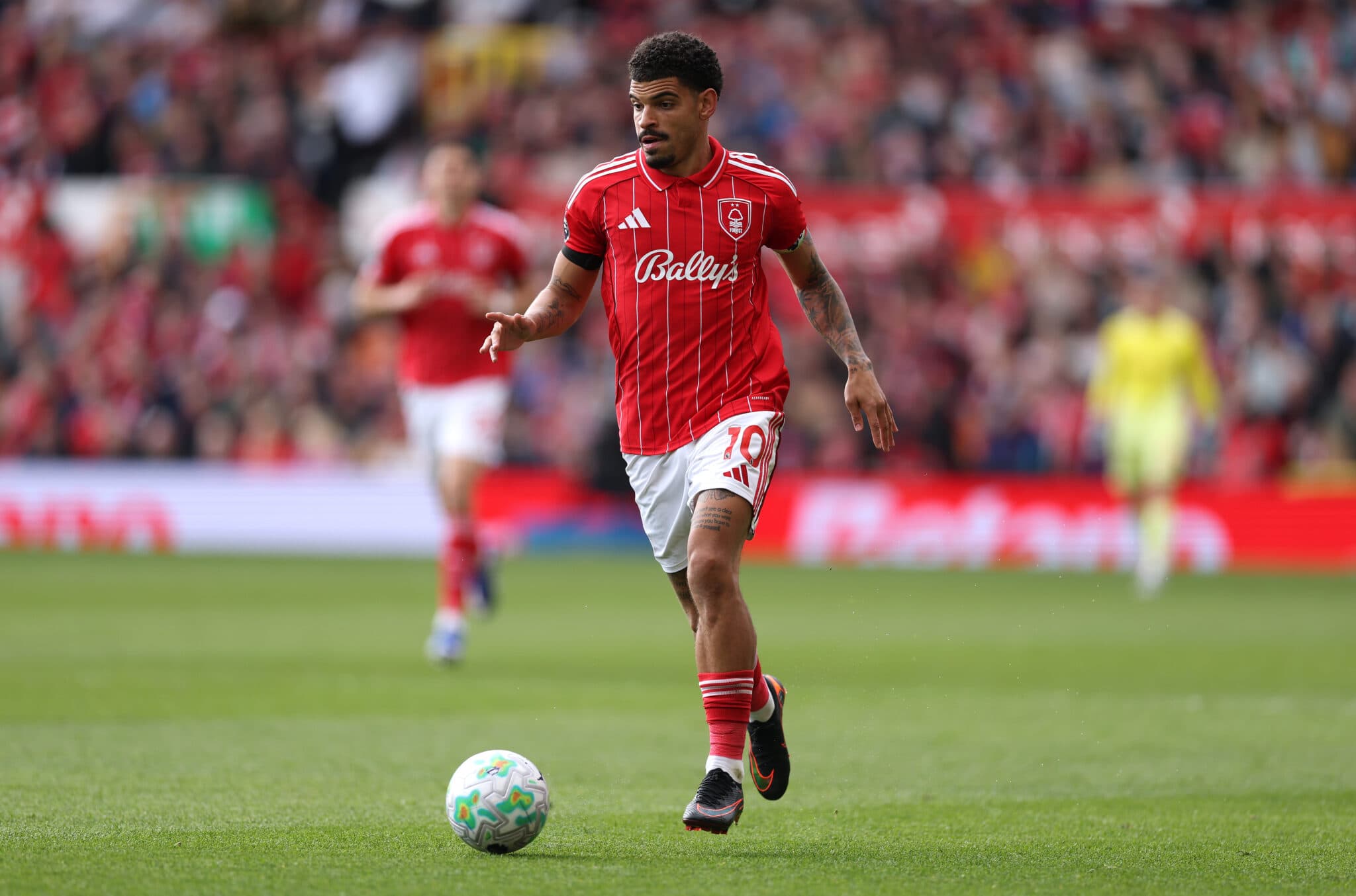 Nottingham Forest XI vs Chelsea – Predicted lineup and team news