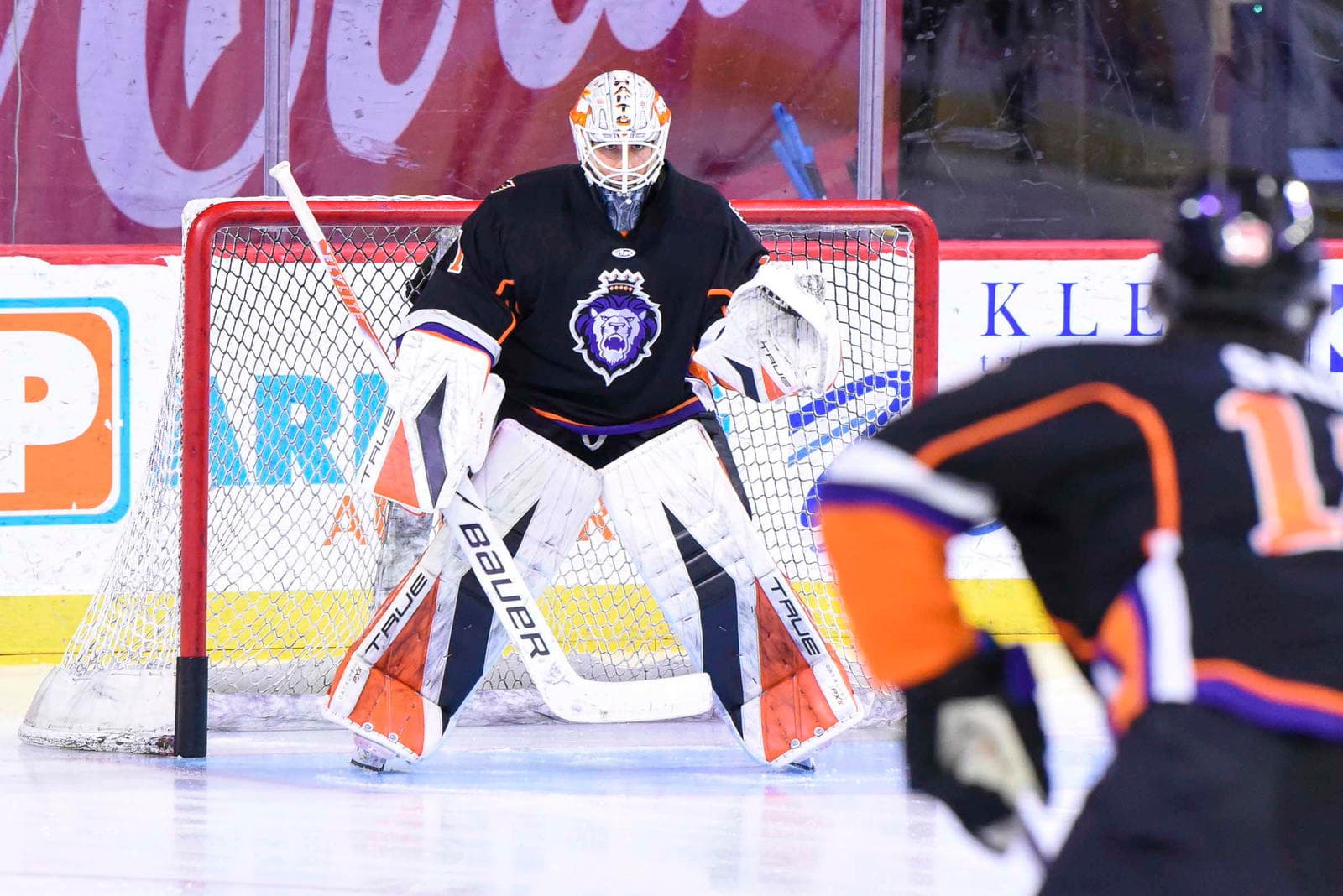 Resilience and Reality: Reading Royals’ 2025–2026 Season Review