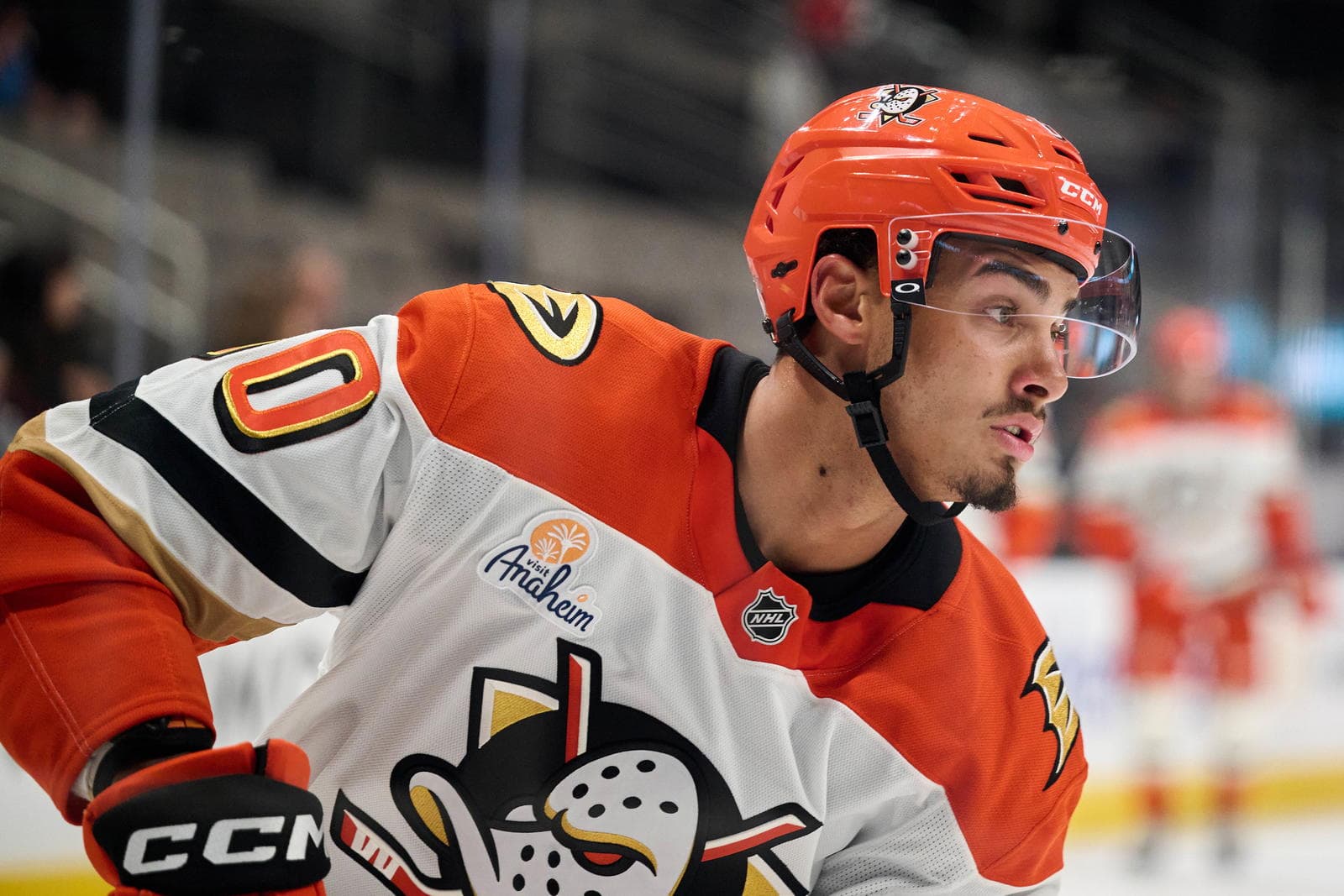 Defenseman Hinds Recalled From San Diego Gulls to Anaheim Ducks