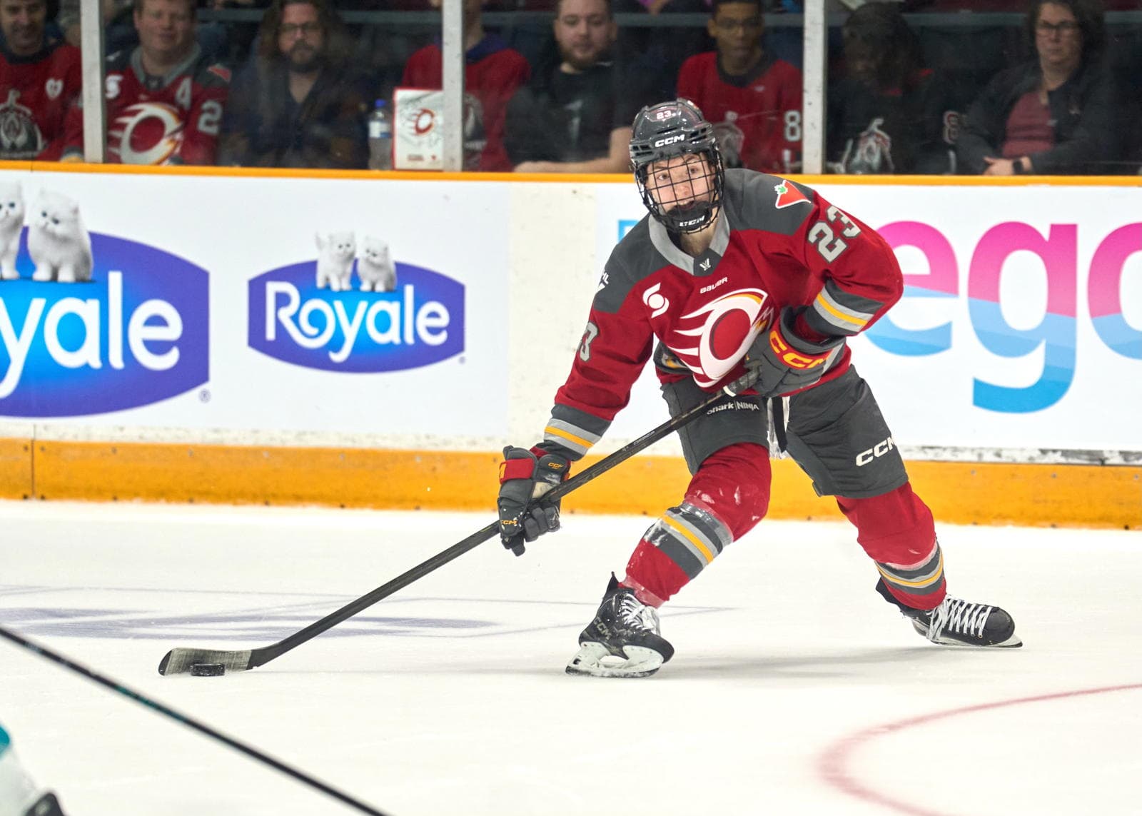 Sarah “Wizard of Woz” Wozniewicz Sets New Ottawa Charge Rookie Scoring Record