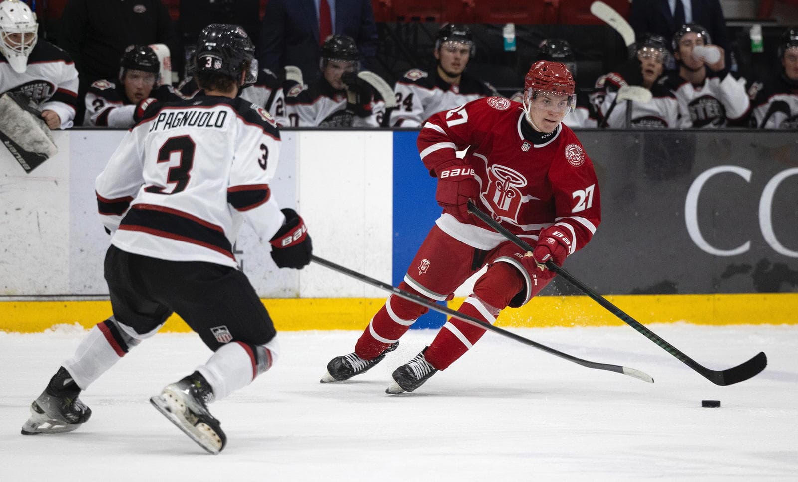 Colin Frank Helping Fuel Fighting Saints' Offensive Surge In 2025-26