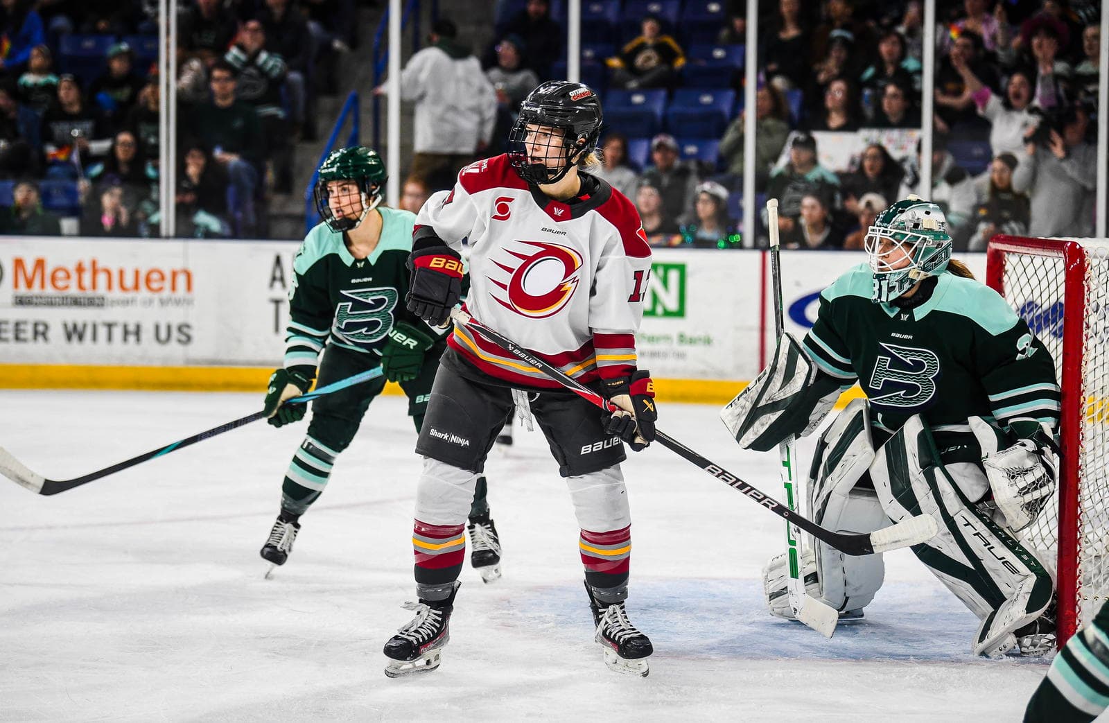 MacLeod Returns To Ottawa's Bench As Charge And Fleet Prepare For Walter Cup Playoff Clash
