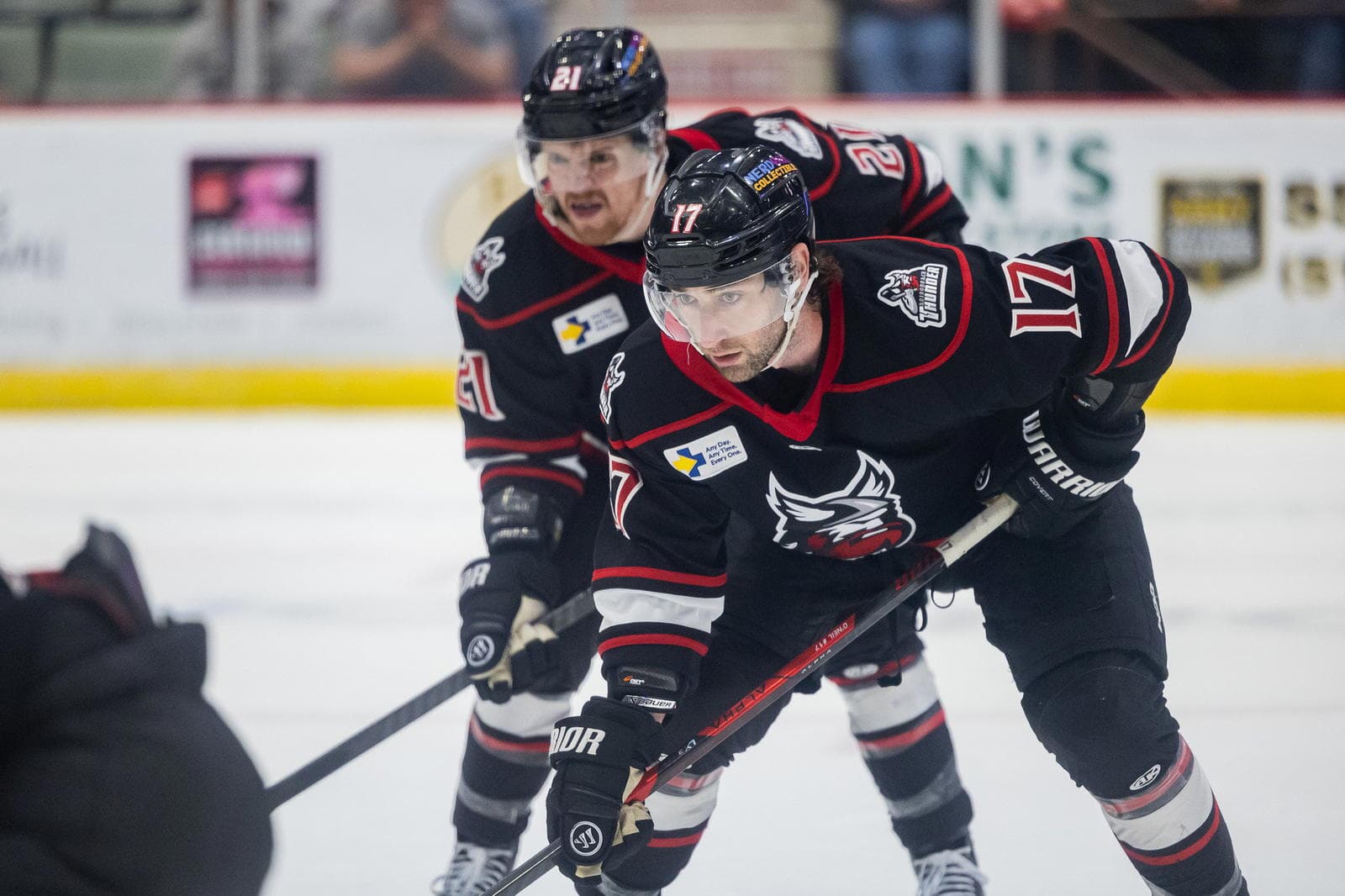 Thunder Rolling Back to Relevance: Adirondack’s 2025-26 Season Restored Belief in Glens Falls
