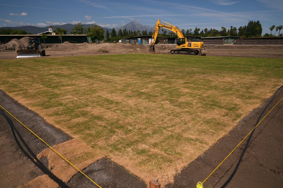 Cricket is returning to Olympics after 128 years. But many hope the sport will finally crack America