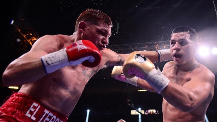 Zuffa Boxing adds two more to active fighter roster