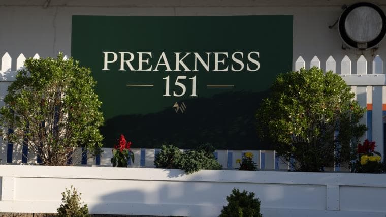 How Napoleon Solo is related to Secretariat after winning Preakness Stakes