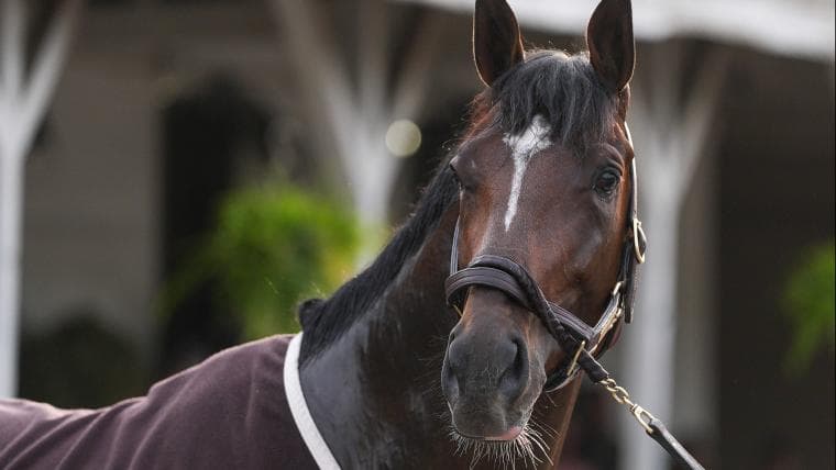 Kentucky Derby winner Golden Tempo just broke 152 years of history