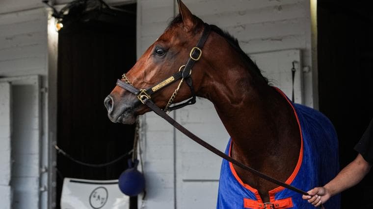 Renegade pedigree notable for Kentucky Derby favorite