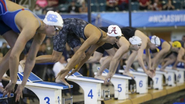 Live Stream: Get Ready for Next Season's NCAA Women's D1 Swimming Showdown!