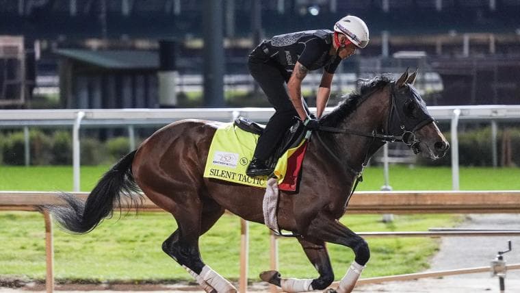 Why Silent Tactic scratched from Kentucky Derby, with plans for Preakness Stakes