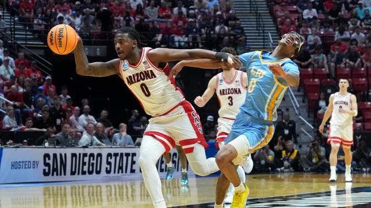 Arizona vs. Long Island box score: Full stats from 2026 NCAA Men's Basketball Tournament game