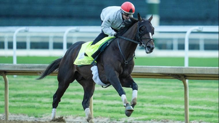 Chief Wallabee's horse pedigree relies on Seattle Slew, A.P. Indy — and not Secretariat