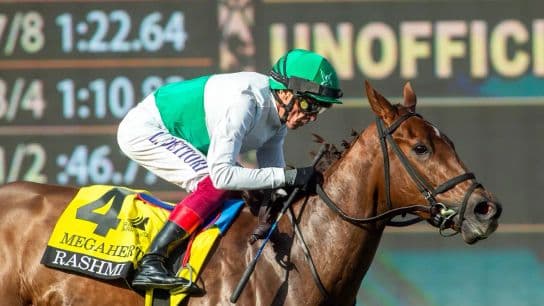 Santa Anita Saturday: Rashmi Returns in Wilshire Stakes