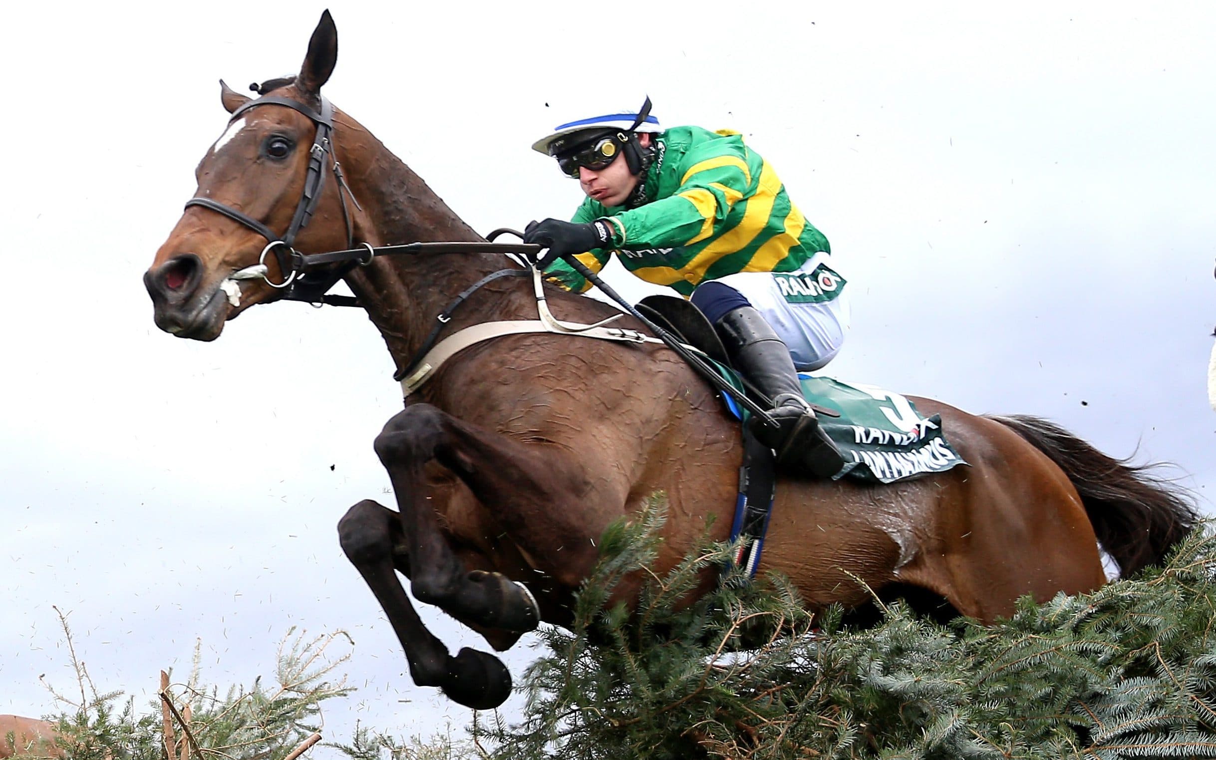Grand National runners, favourites and odds for 2026: Key horses to note