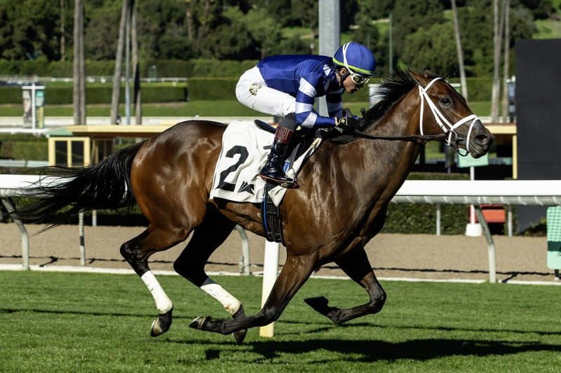 Kentucky Derby 'Win and You're In' races set for Kentucky, Louisiana