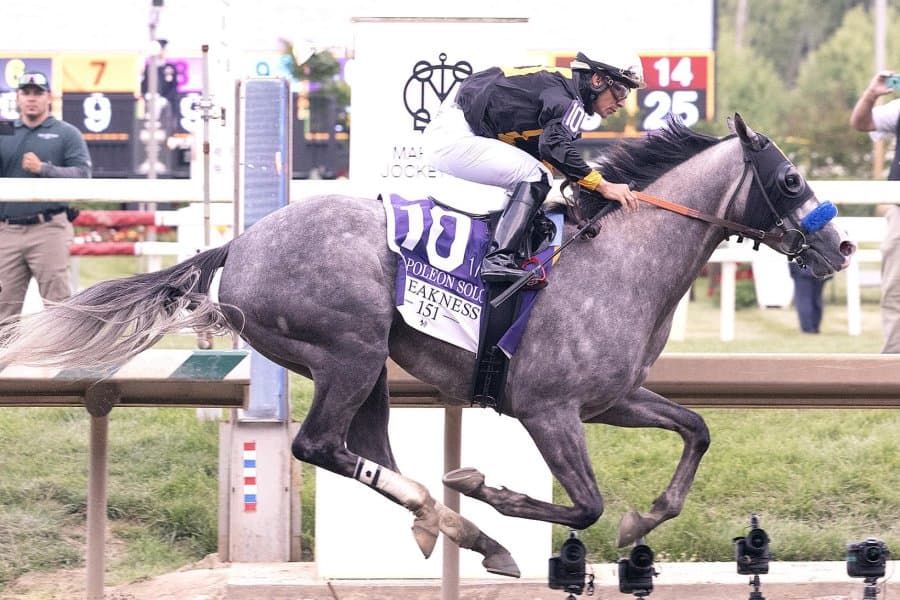 Napoleon Solo wins Preakness Stakes