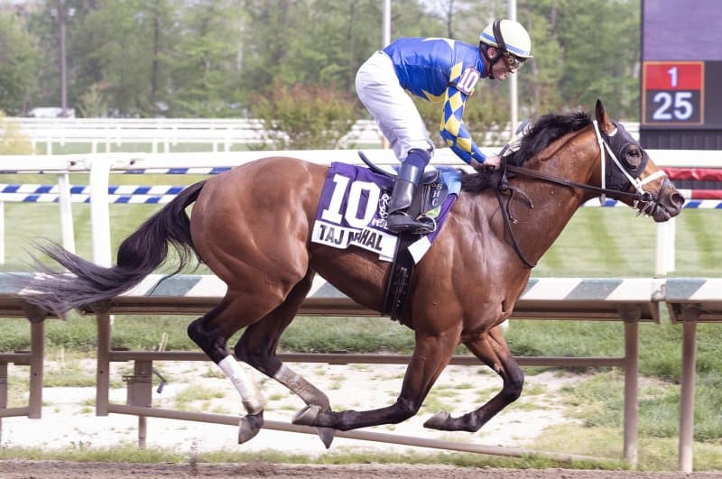 White Abarrio upsets '25 Triple Crown stars in weekend horse racing