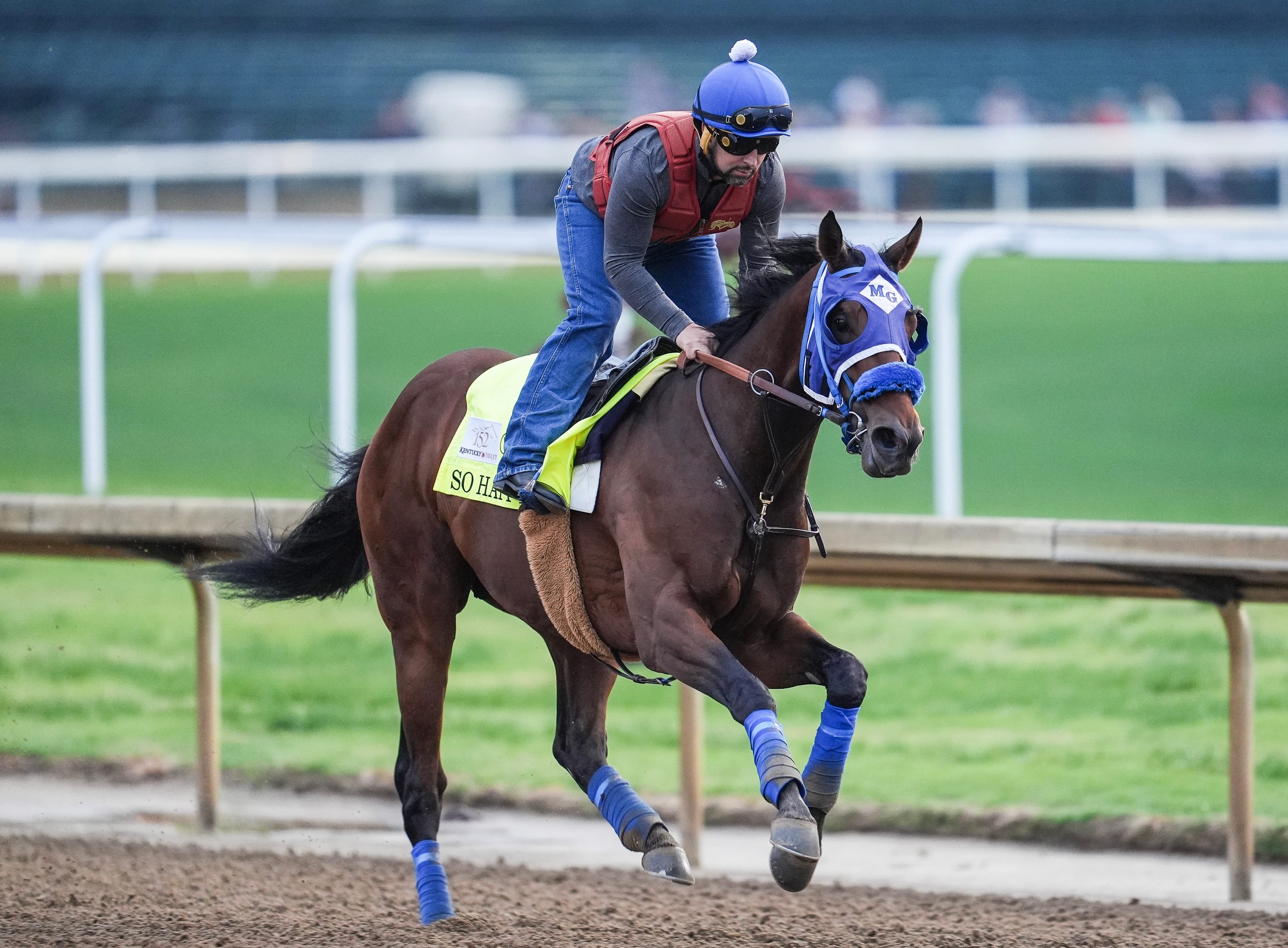 Kentucky Derby winner can be divined with help from handicappers
