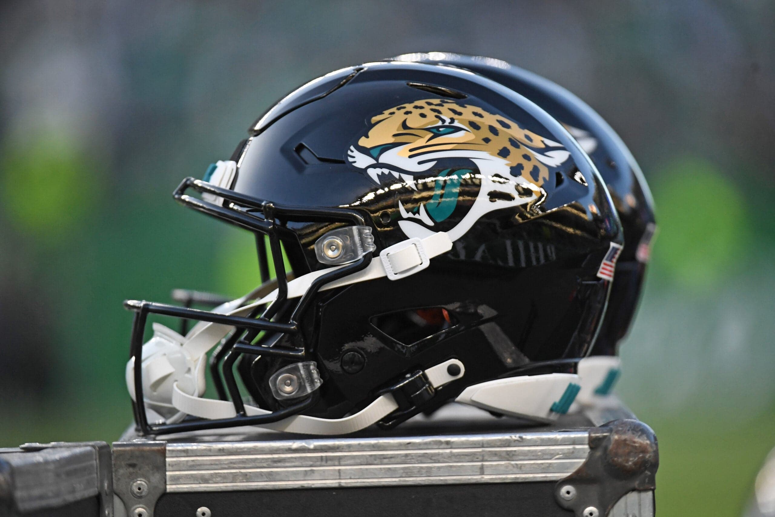 Ex-Vikings RB Picks Jaguars as Next Team