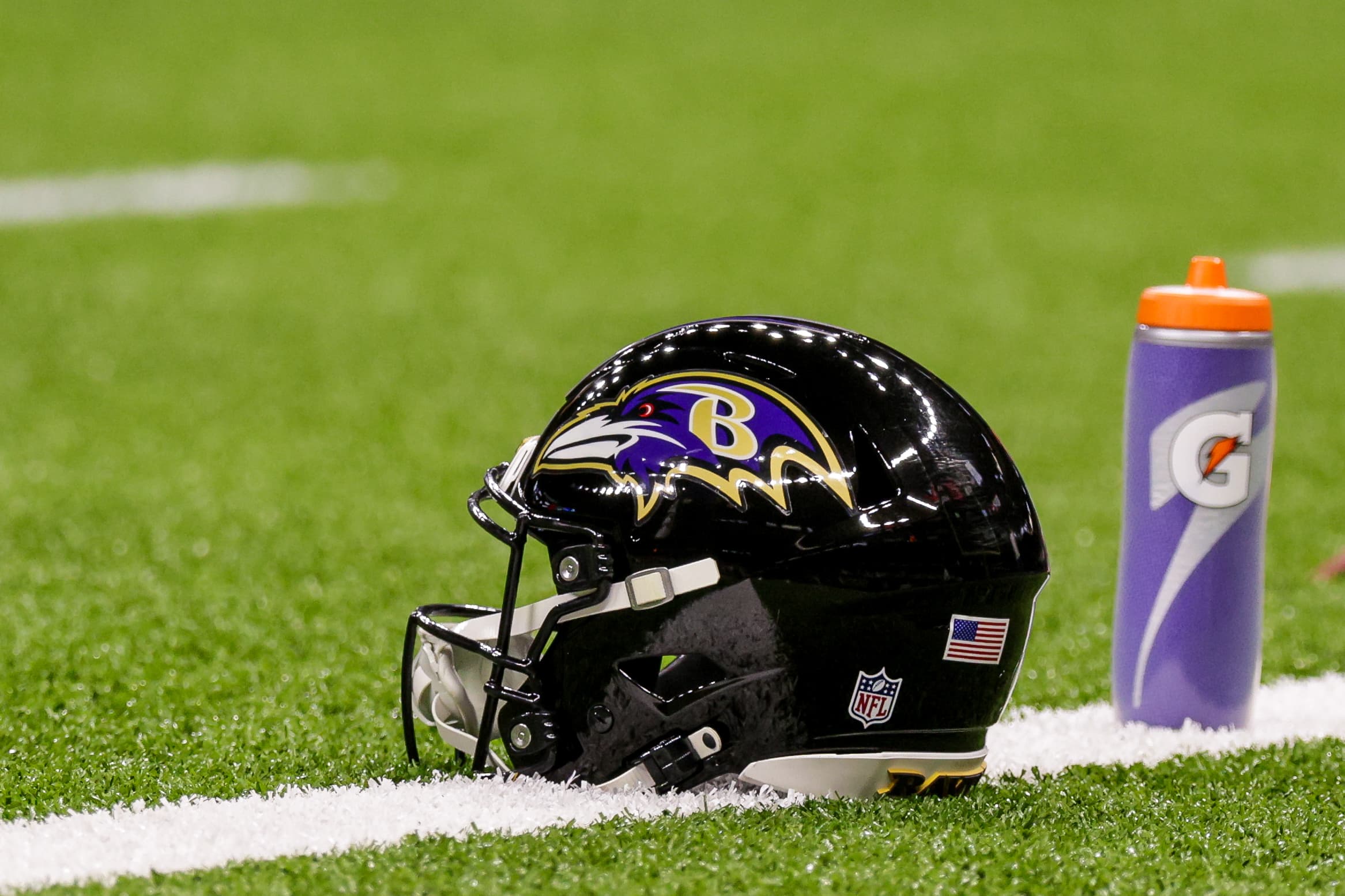 Ravens Add Ex-Vikings Defender to Summer Roster