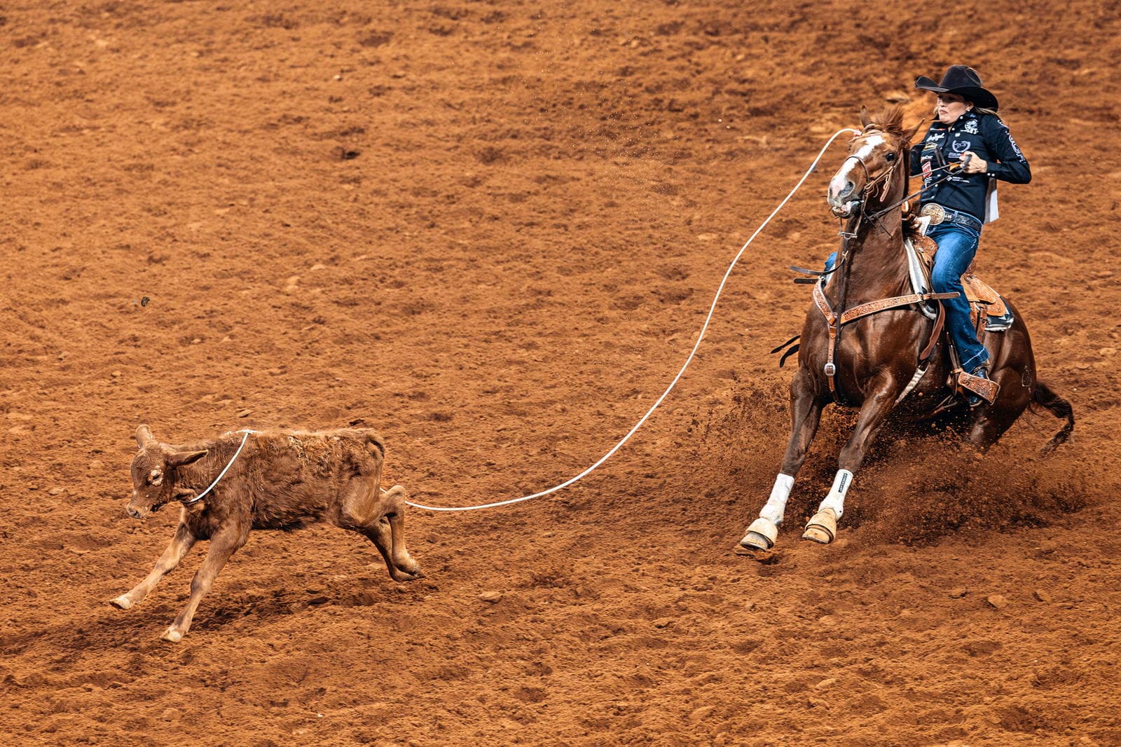 Calgary Stampede Set for Major Comebacks from Rodeo’s Biggest Names