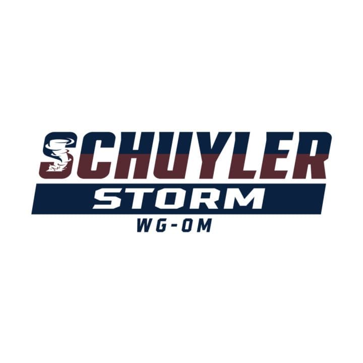 Schuyler Storm’s Paige Ells throws perfect game in big win