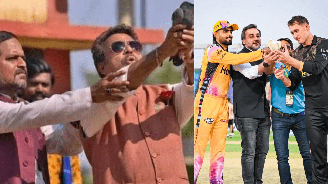 'Flying Bam Bahadur’s pigeon': PSL trolled over 'peacemaker act' amid US-Iran ceasefire