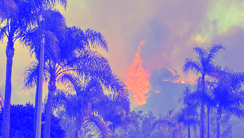 What We Can—and Must—Learn From the Burning of Pacific Palisades