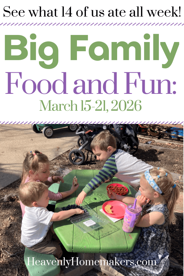 Big Family Food and Fun: March 15-21, 2026
