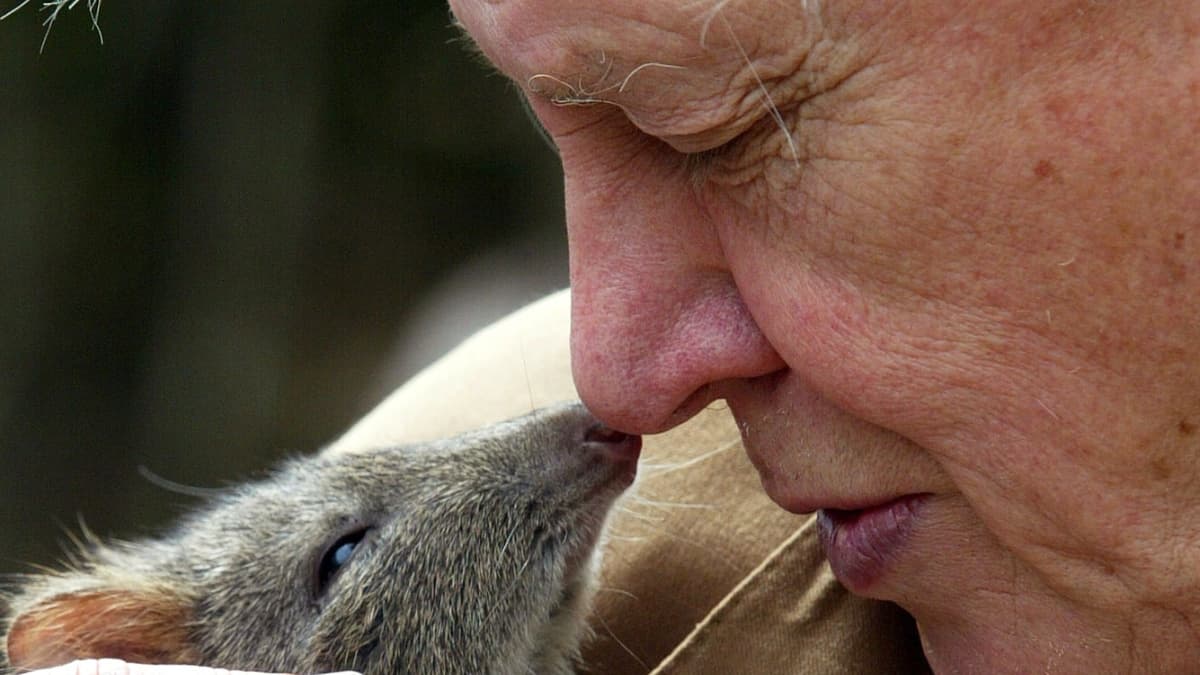 Sir David Attenborough Is 100, And The World Is Celebrating a Living Legend