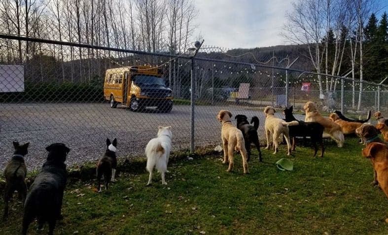 Let’s get to school: A bus stops every day to pick up the kids and takes them to school without fail